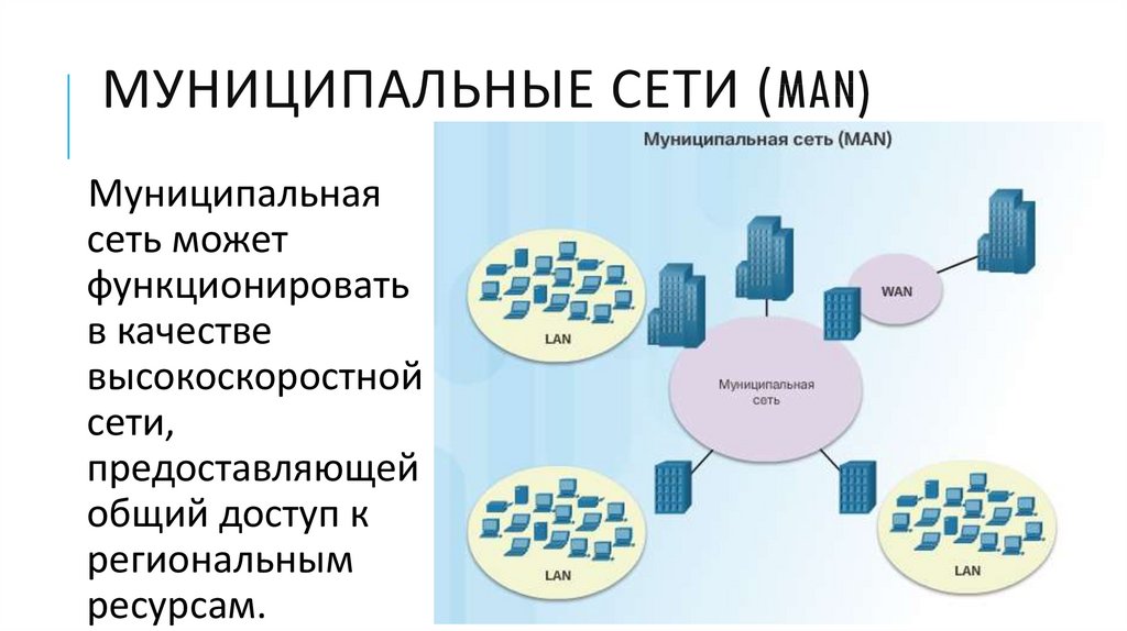 Сеть производителей. Типы сетей. Виды сетей в реестрах. Сеть общегородского назначения. Координирующие органы сети интернет.