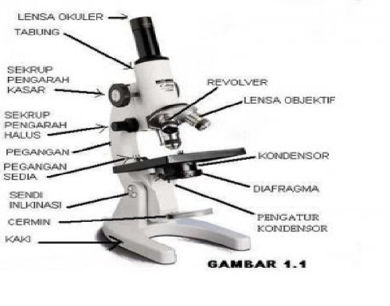 Фото микроскопа с подписями всех частей