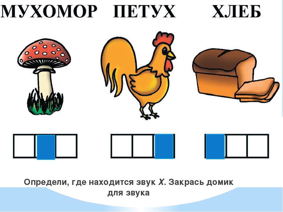 Слоговая схема слова мухомор