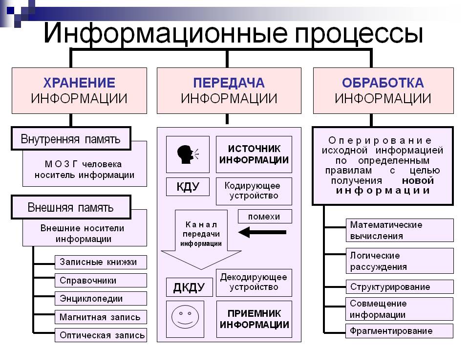 Схема обработки информации включает в себя