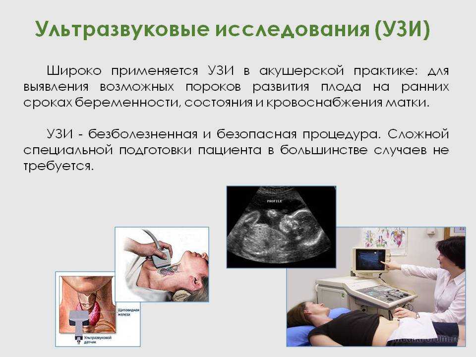 Индивидуальный проект ультразвук