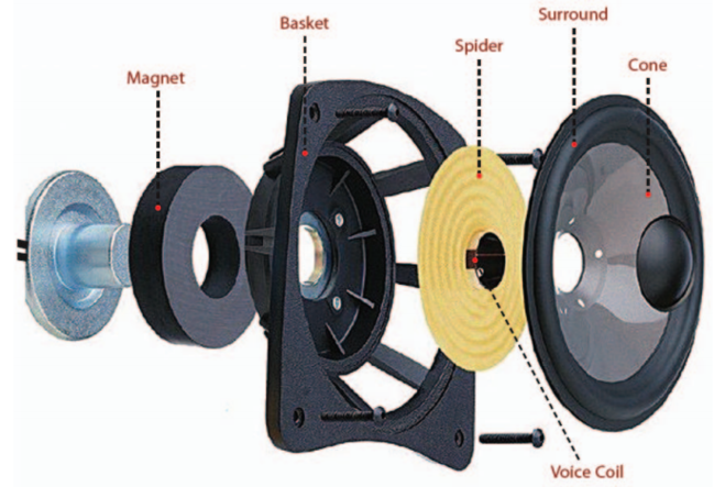 Динамик устройство. Динамик экранированная магнитная система. Неодимовые магнитные системы динамиков. Динамик на неодимовых магнитах. Динамики на неодимовом магните.