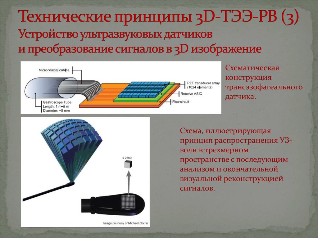 Функциональная схема узи аппарата