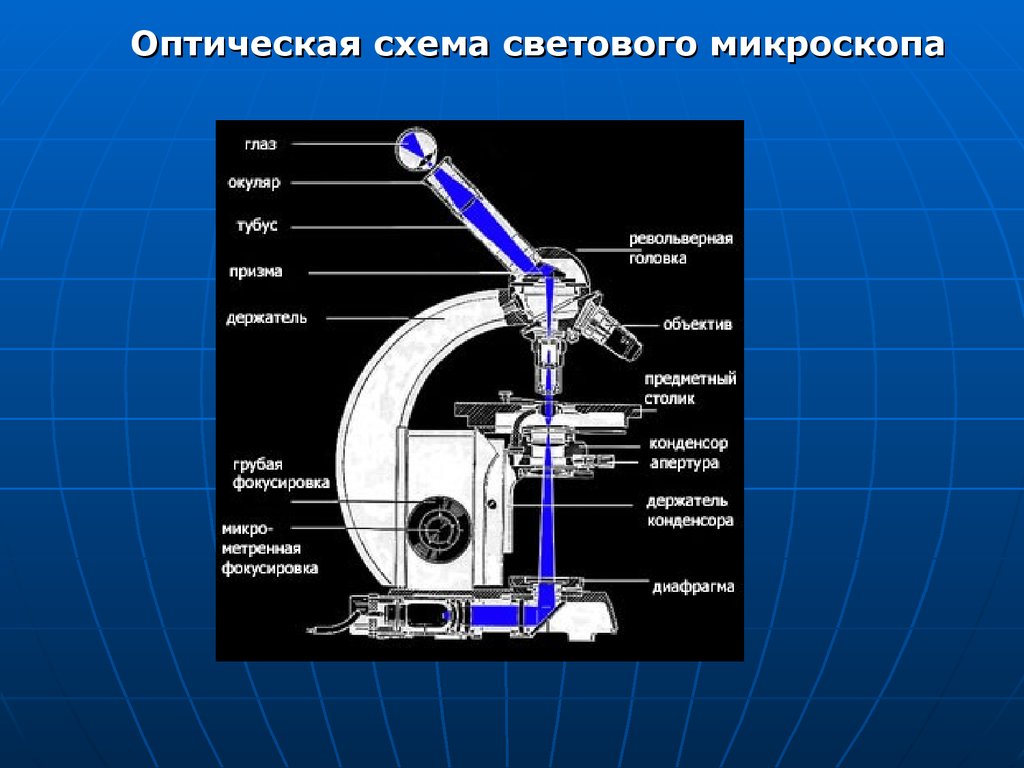 Устройство микроскопа оптическая схема