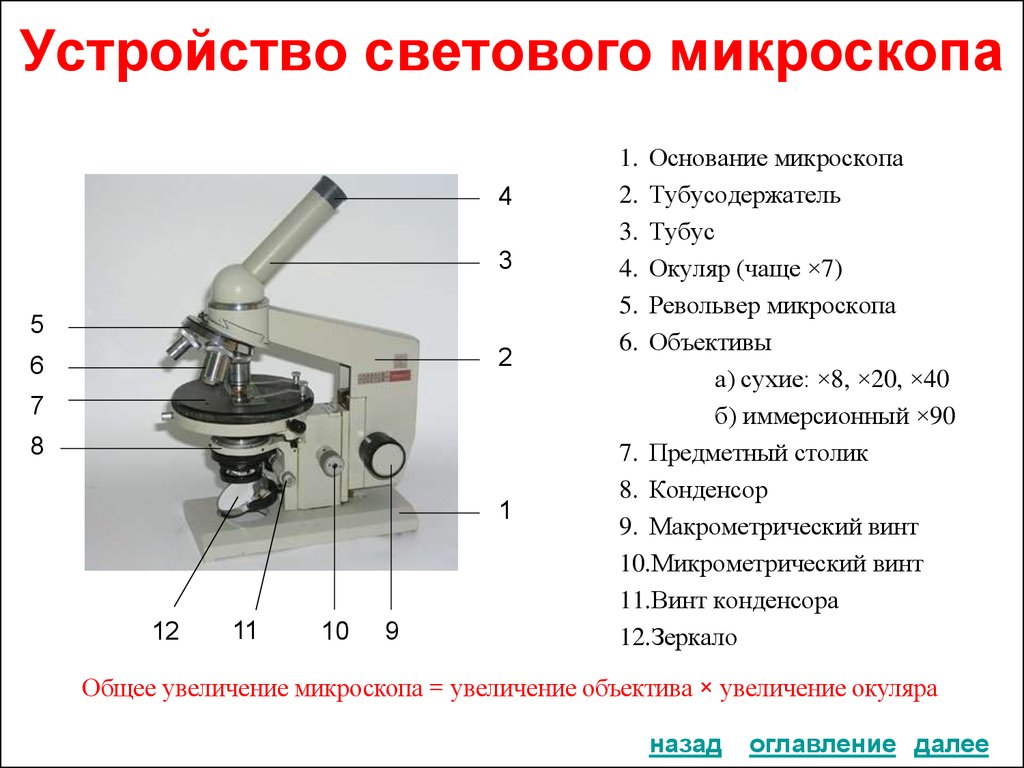 Схема устройства микроскопа