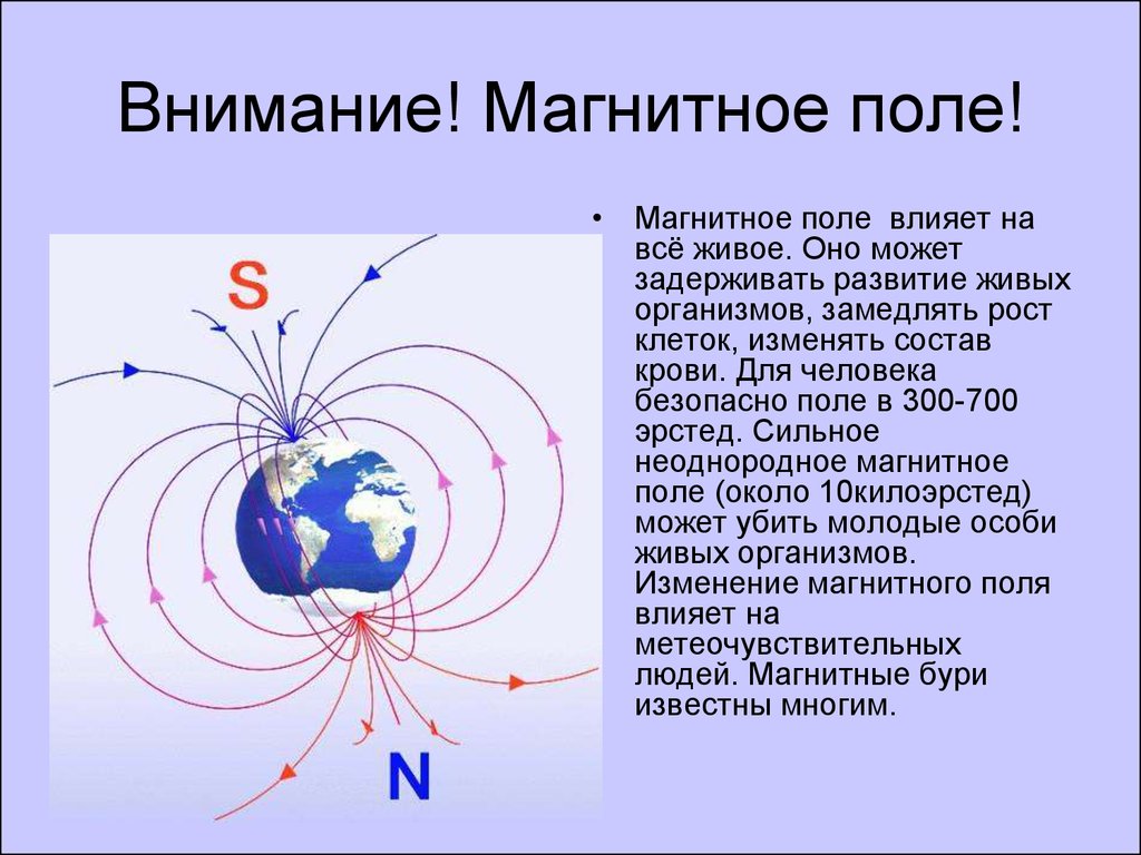 Влияние магнитных полей на человека проект