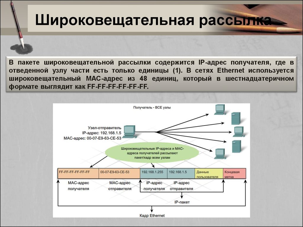 Единицы сеть. Ethernet-Кадр для широковещательной рассылки. Широковещательный пакет l2. Адрес многоадресной рассылки. Адресация многоадресной IP-рассылки.