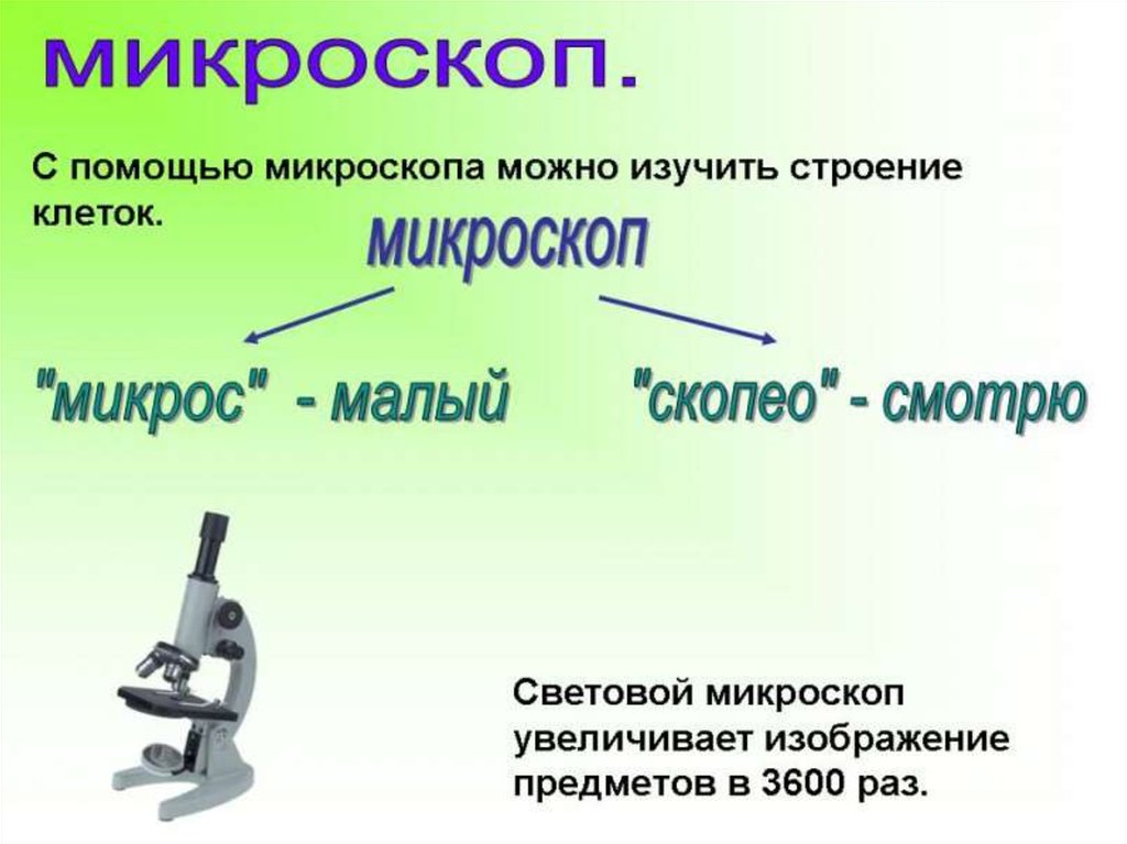 Световой микроскоп строение 5 класс. Строение увеличительных приборов. Изучение клетки увеличительными приборами. Увеличительные приборы .строение клетки. Открытия с помощью микроскопа.