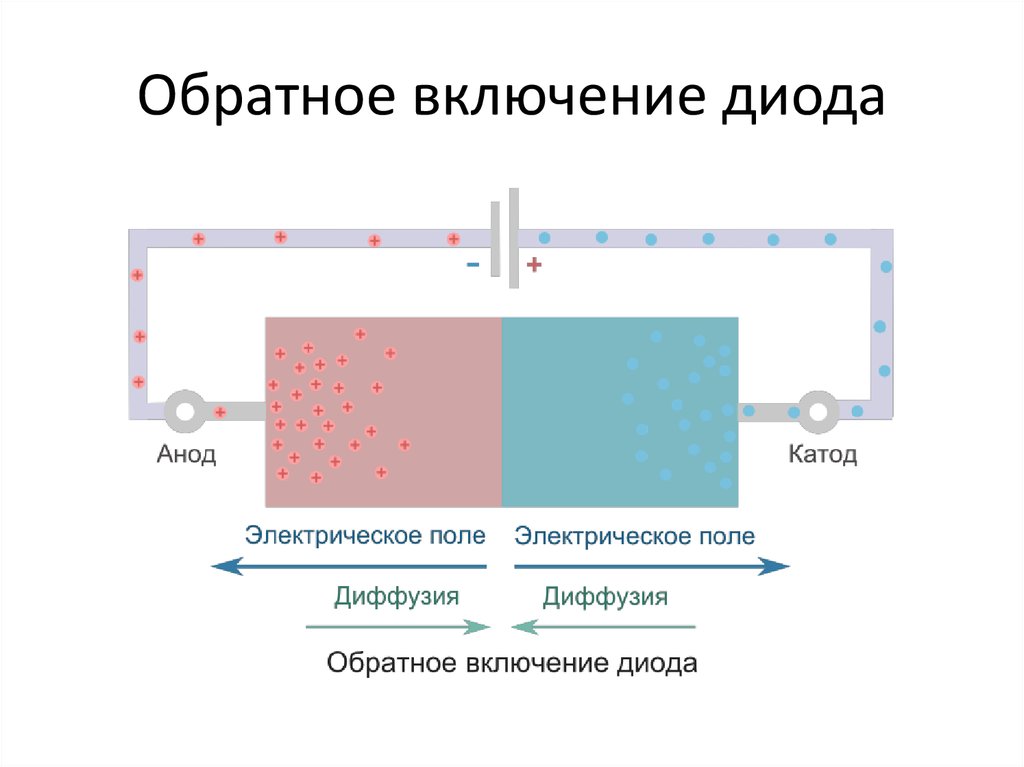 Включи обратно