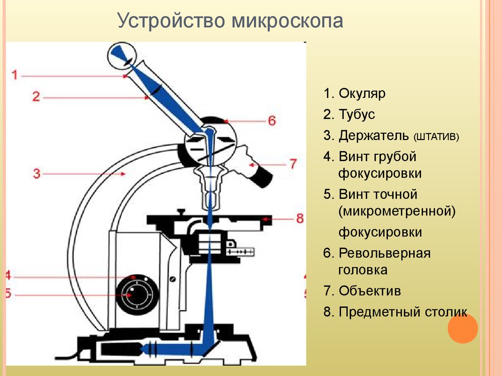 Схема работы микроскопа