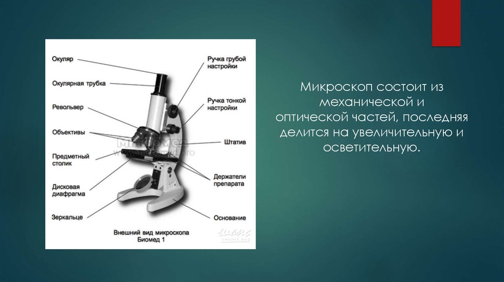 Какая функция выполняется частью микроскопа обозначенной на рисунке буквой е