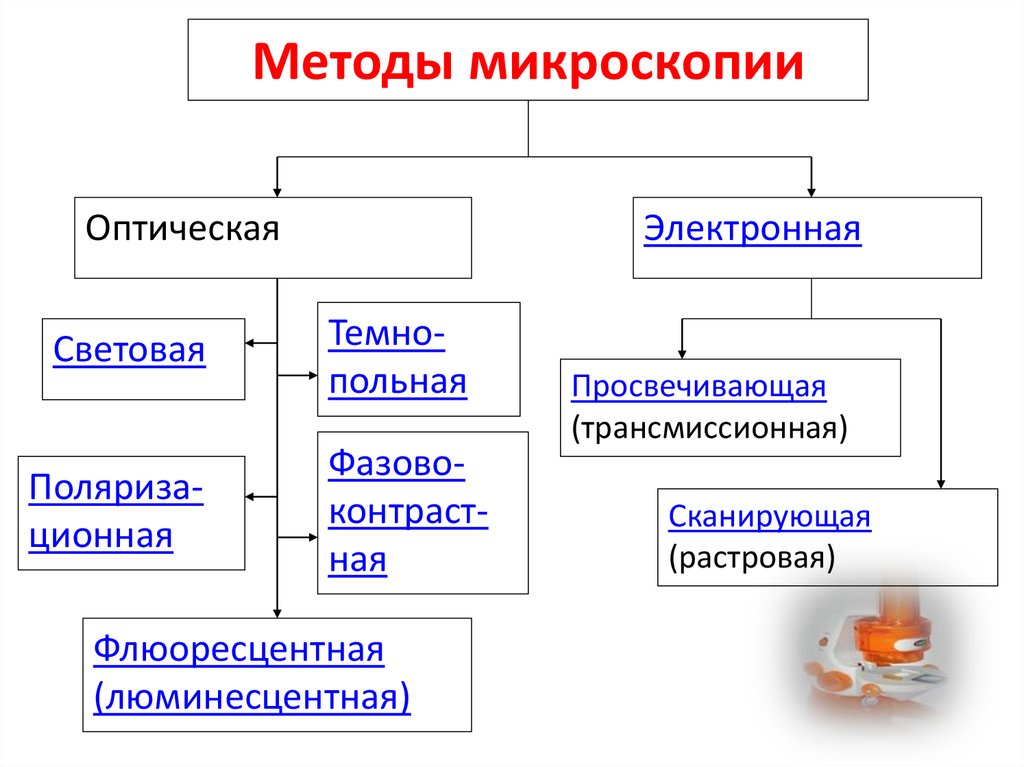 Виды микроскопии схема