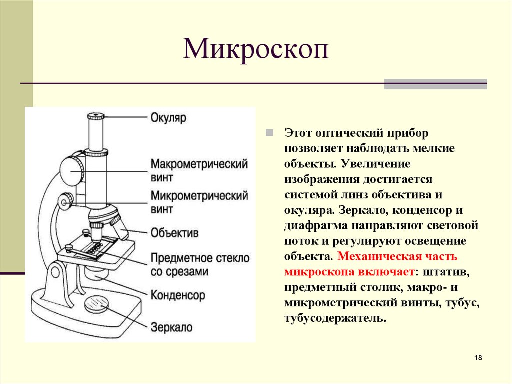 Микроскоп название частей биология 5 класс