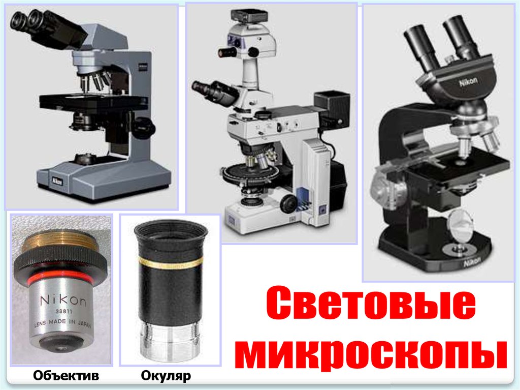 Какое изображение дает объектив окуляр микроскоп