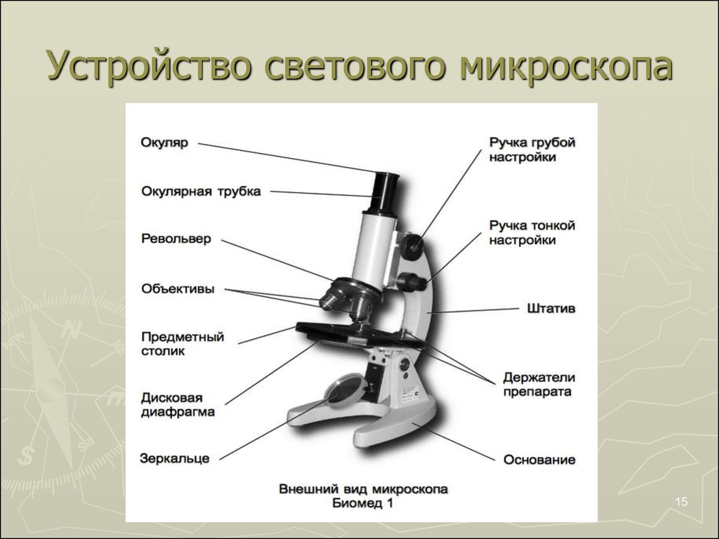 Биология строение микроскопа 5 класс рисунок