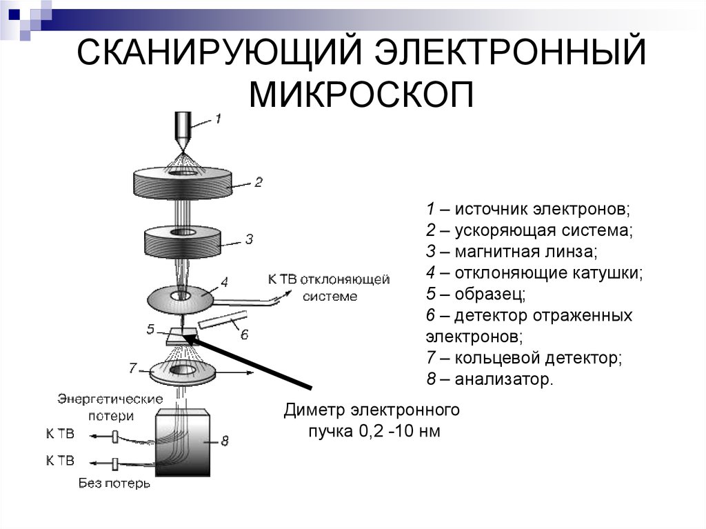 Сканирующий электронный микроскоп схема