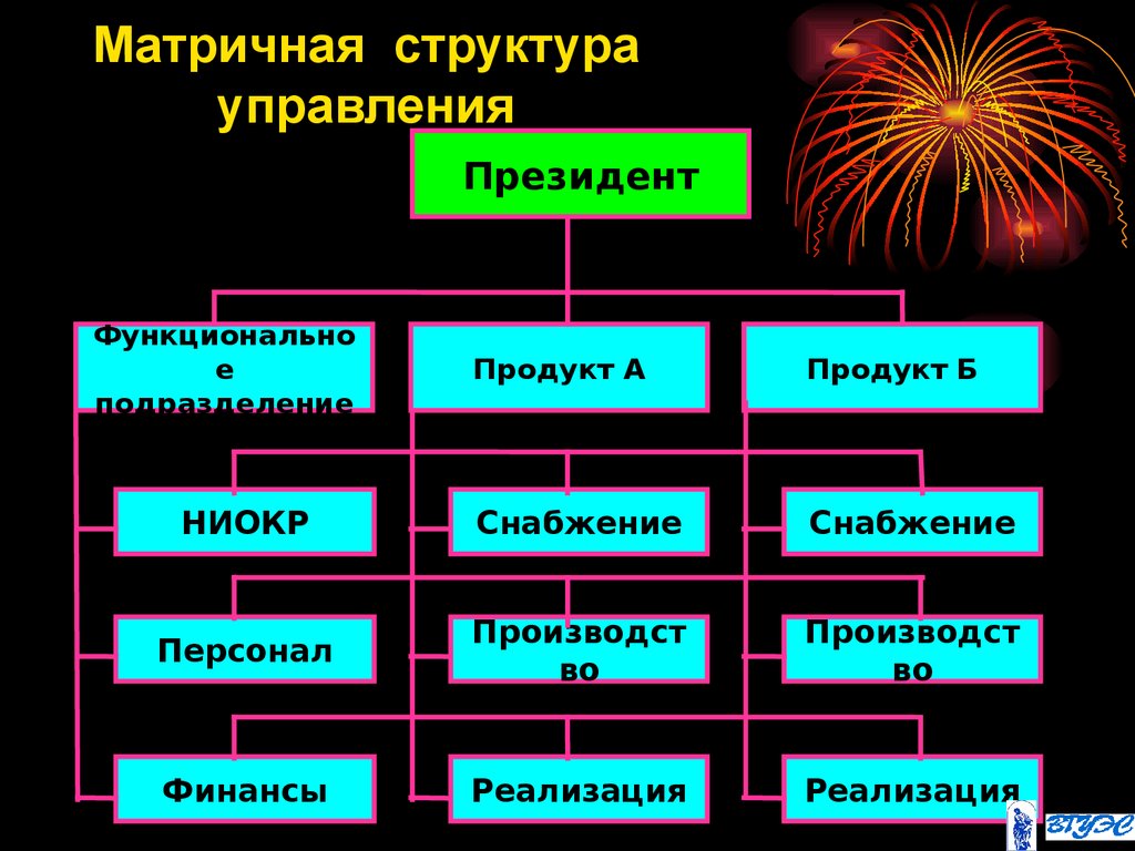 Жесткая матричная структура проекта