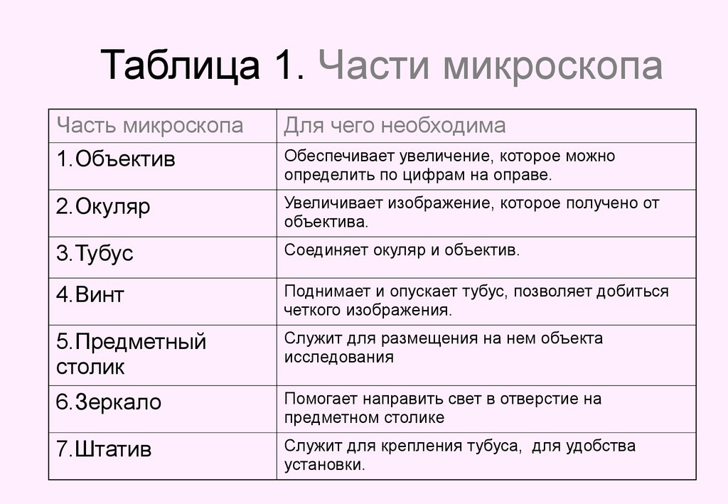 Строение микроскопа 5 класс биология рисунок с подписями и функциями