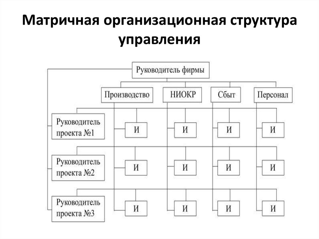 Матричная схема департаментизации