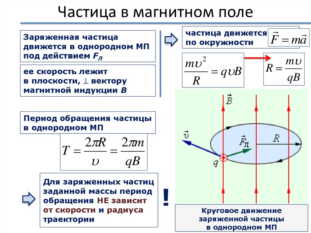 На рисунке 213 показаны линии магнитной индукции однородного магнитного поля