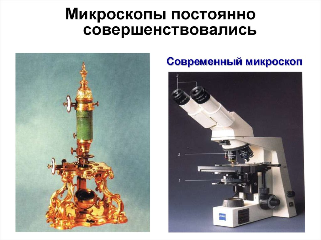 1 прибор типа микроскопа. Микроскоп "первый". Изобретение микроскопа. Современные микроскопы и их возможности. Типы современных микроскопов.