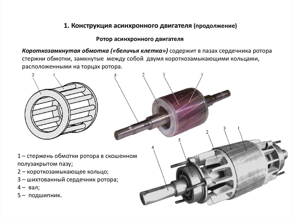 Расчет короткозамкнутого ротора