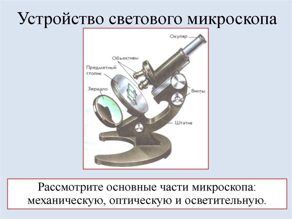 Устройство микроскопа схема