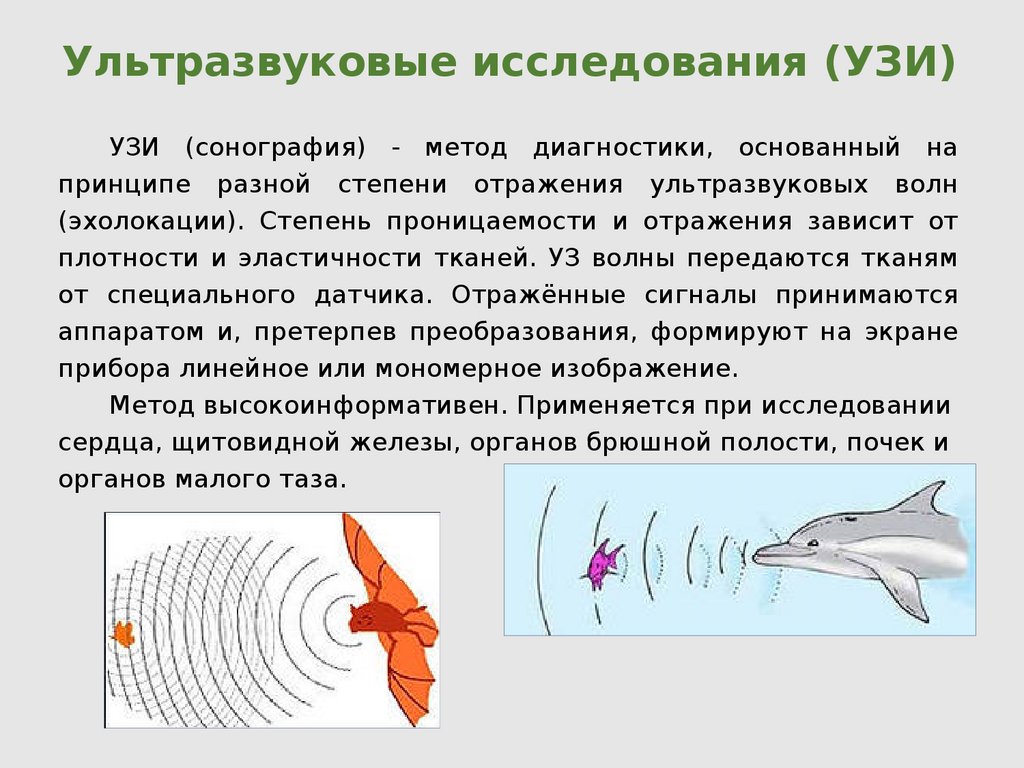 Ультразвук описание