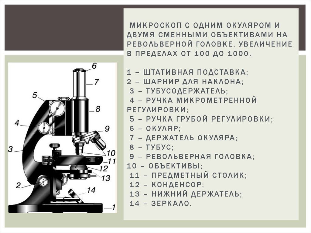 Окуляр микроскопа дает какое изображение