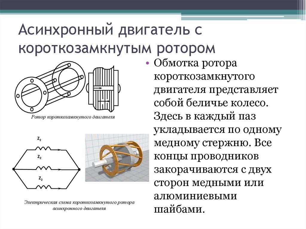 Обмотка ротора асинхронного двигателя. Асинхронной машине c короткозамкнутым ротором соответствует схема…. Короткозамкнутая обмотка ротора асинхронного двигателя. Чертеж статора асинхронного двигателя.