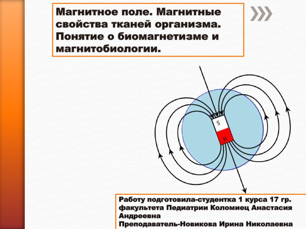 Применение магнитного поля в медицине проект