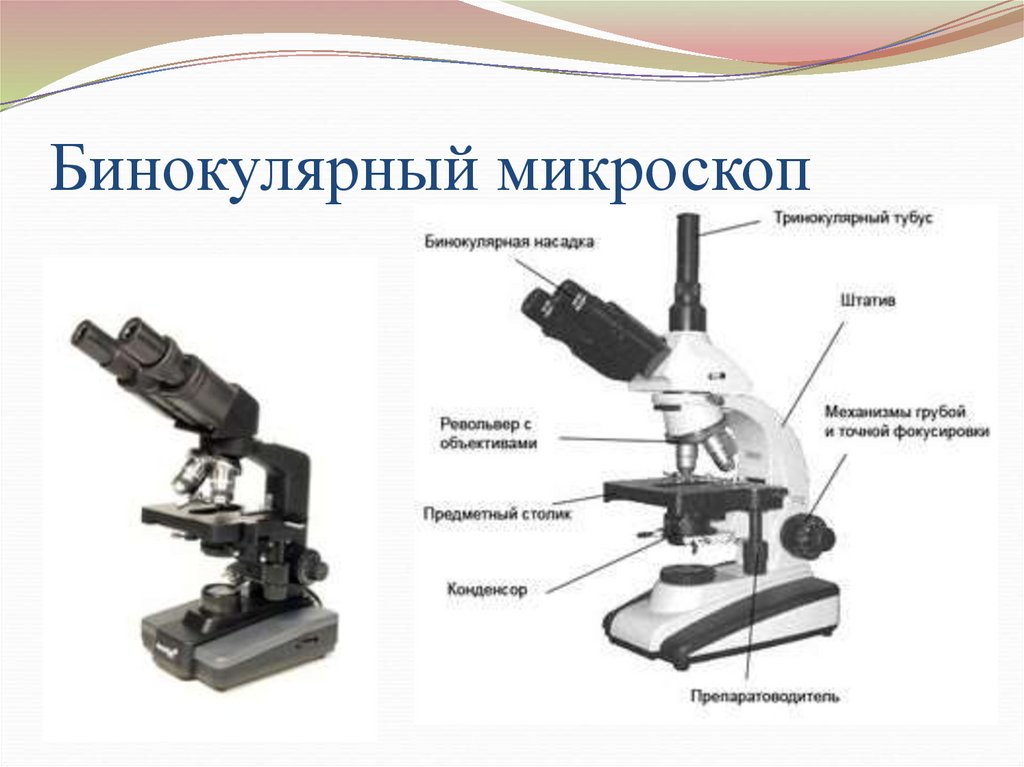 Характеристика изображения в микроскопе