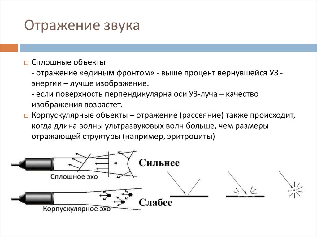 Эхо 9 класс. Отражение звука. Отображение звука. Отражение звука это кратко. Отражение звука это в физике.