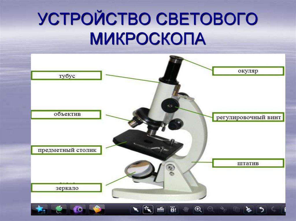 Характеристика изображения в микроскопе