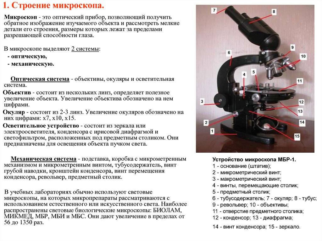 Схема устройства светового микроскопа