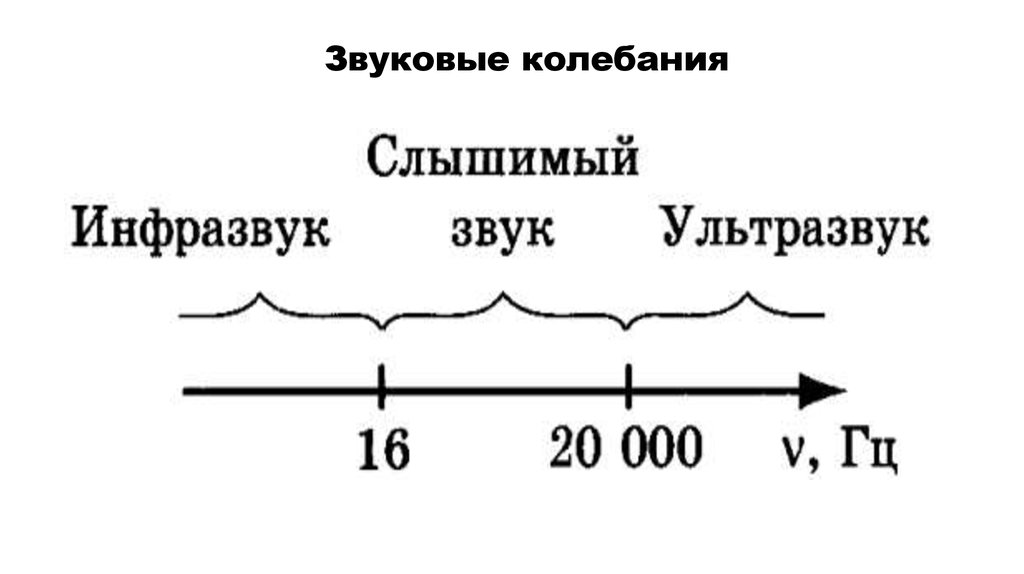 Колебания и волны ультразвук. Механические волны имеют шкалу.