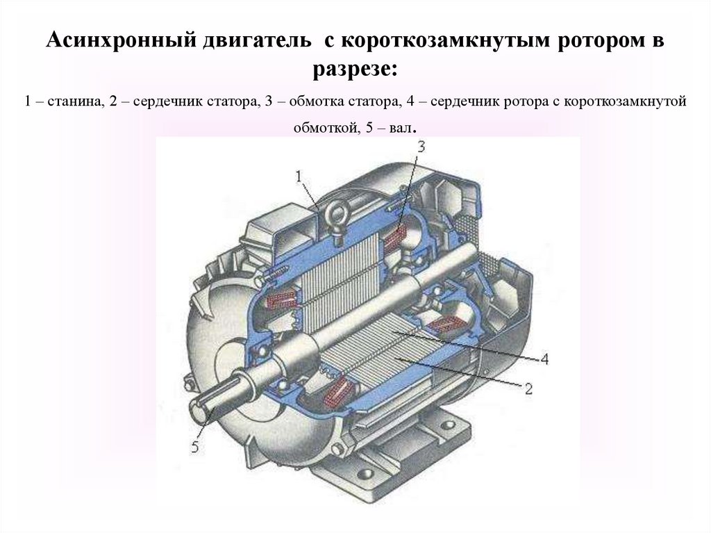 Асинхронной машине c короткозамкнутым ротором соответствует схема