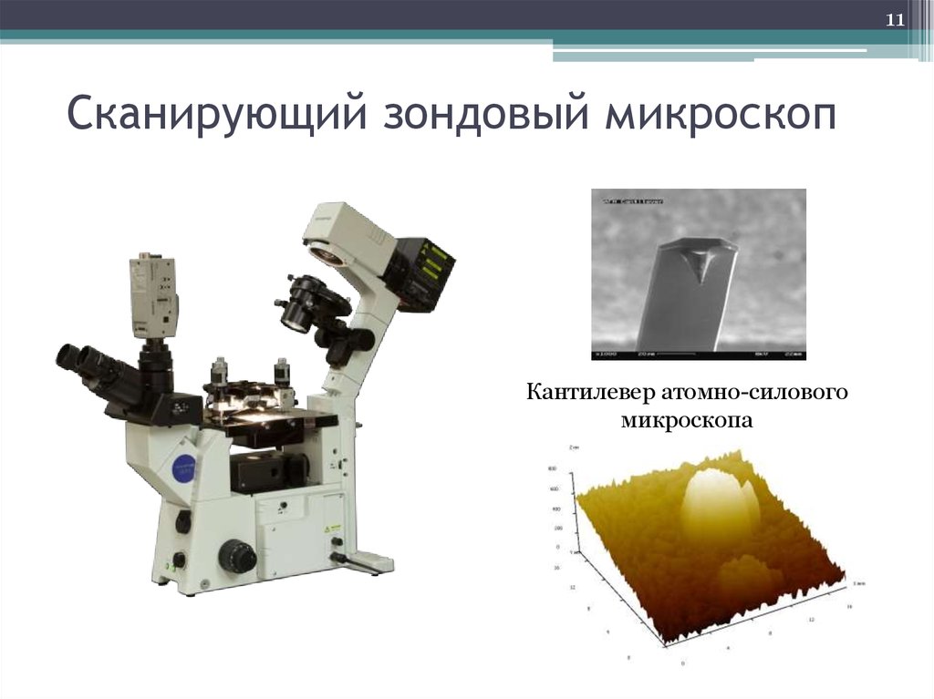 Сканирующая зондовая микроскопия фото