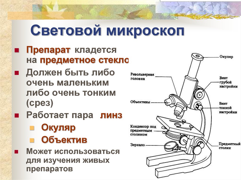 Рисунок микроскопа с подписями всех частей