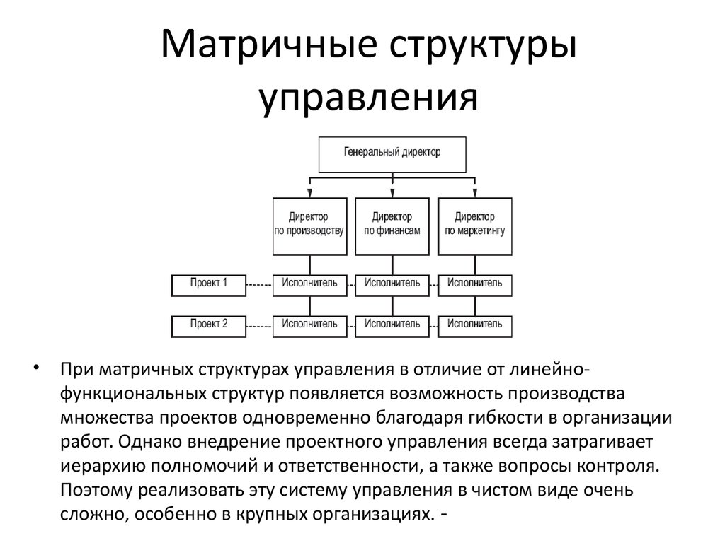 Вид организационной структуры управления проектом