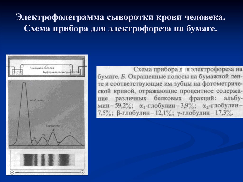 Сухой электрофорез. Электрофорез схема прибора. Электрофорез белков презентация. Буферный раствор для электрофореза.