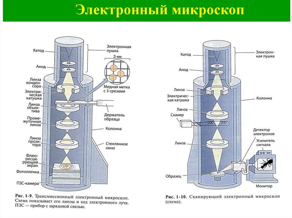 Цифровой микроскоп схема