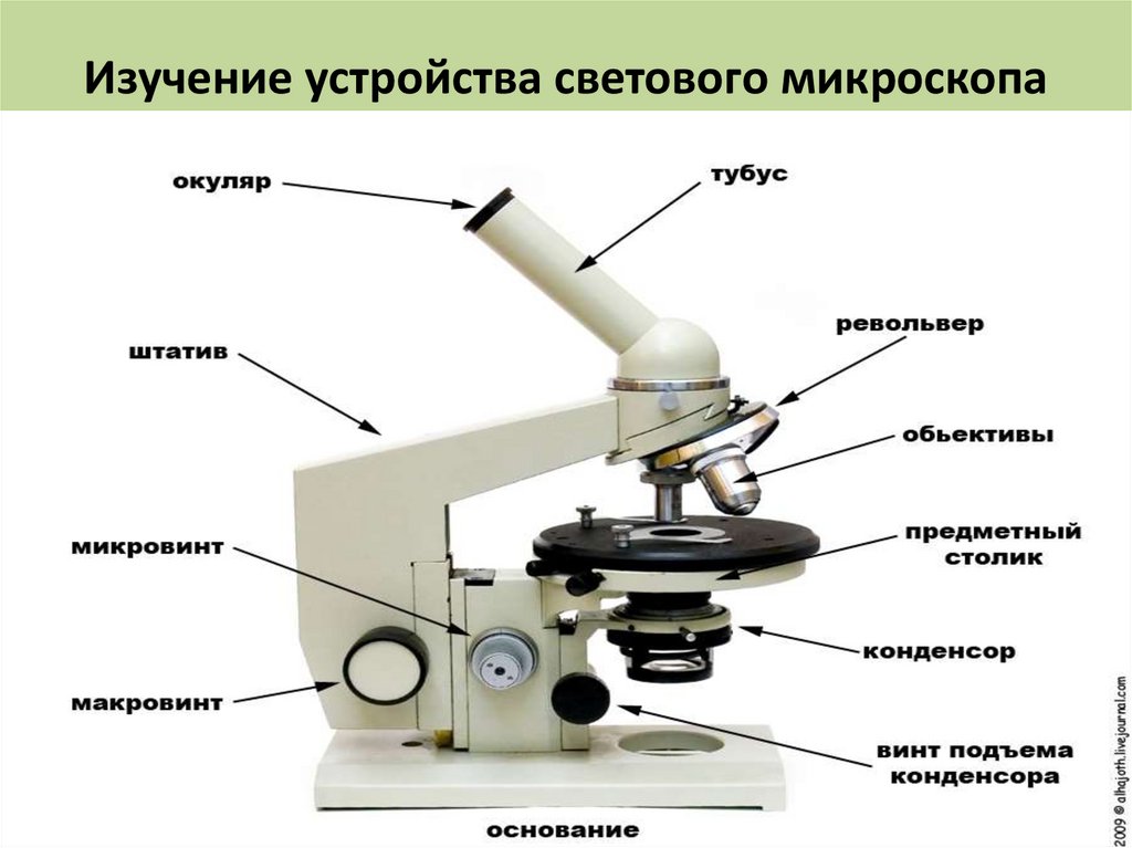 Какую функцию выполняет основание микроскопа при работе. Микроскоп Биолам ЛОМО. Световой микроскоп микробиология строение. Световой микроскоп строение. Микроскоп ЛОМО Биолам ау 12.