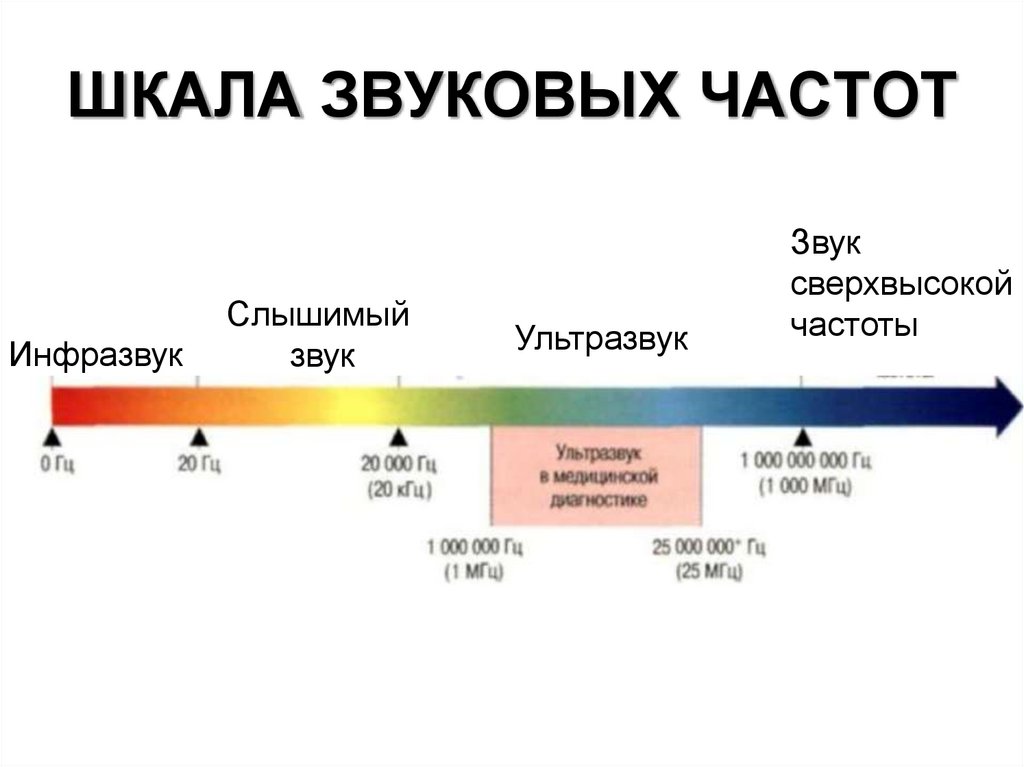 На рисунке 1 представлены диапазоны слышимых звуков для человека