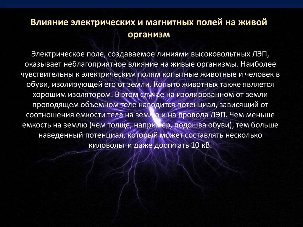 Действие электромагнитных полей на человека презентация