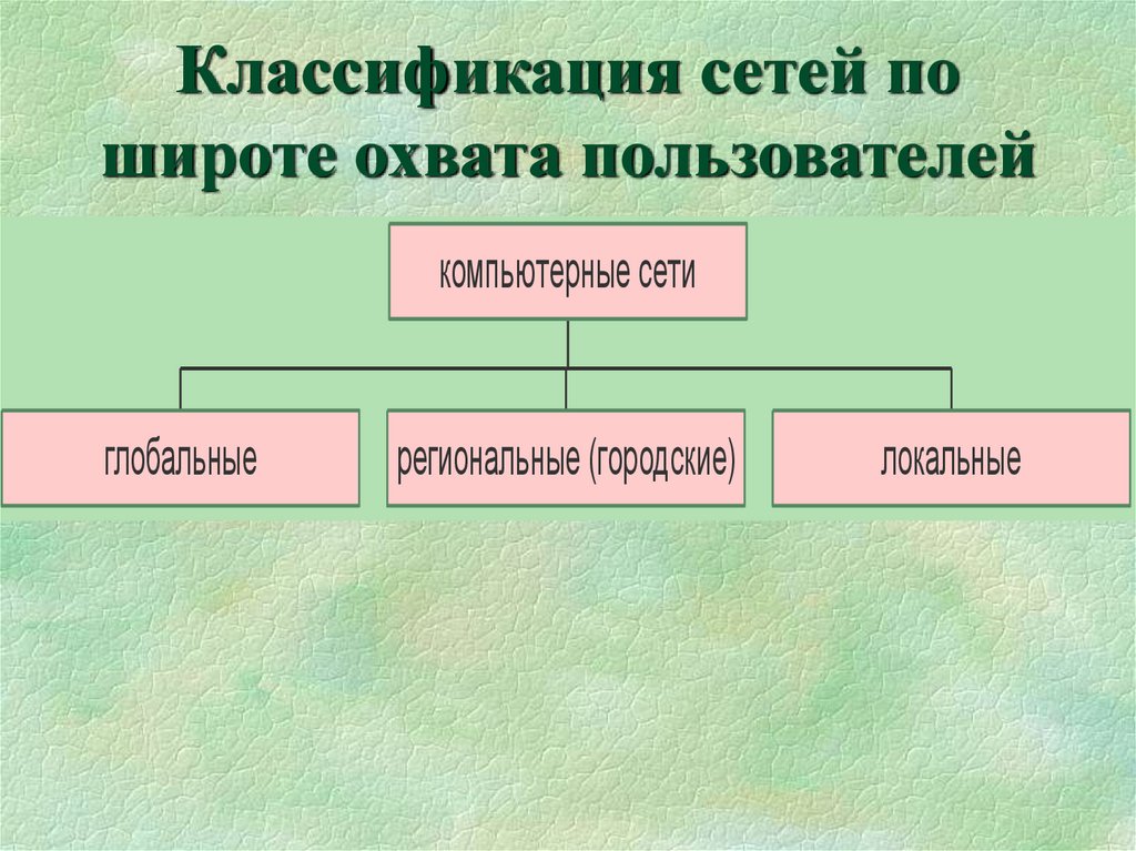 Какие бывают сети