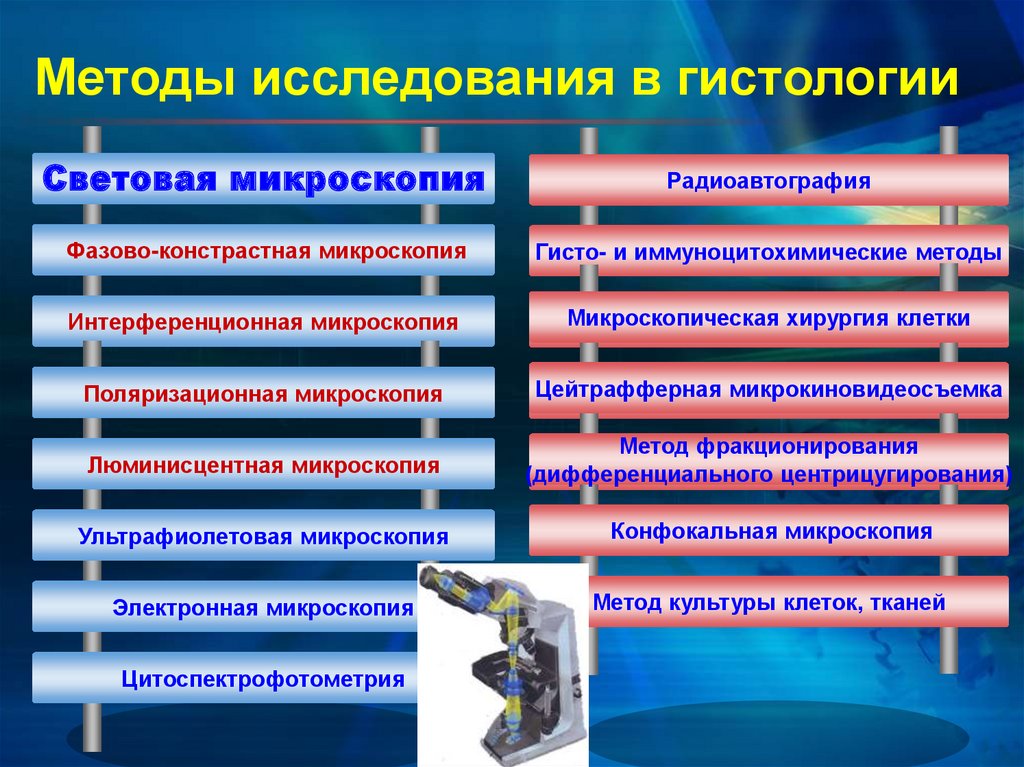 Наука предметом изучения которой является создание хранение и обработка моделей и их изображений