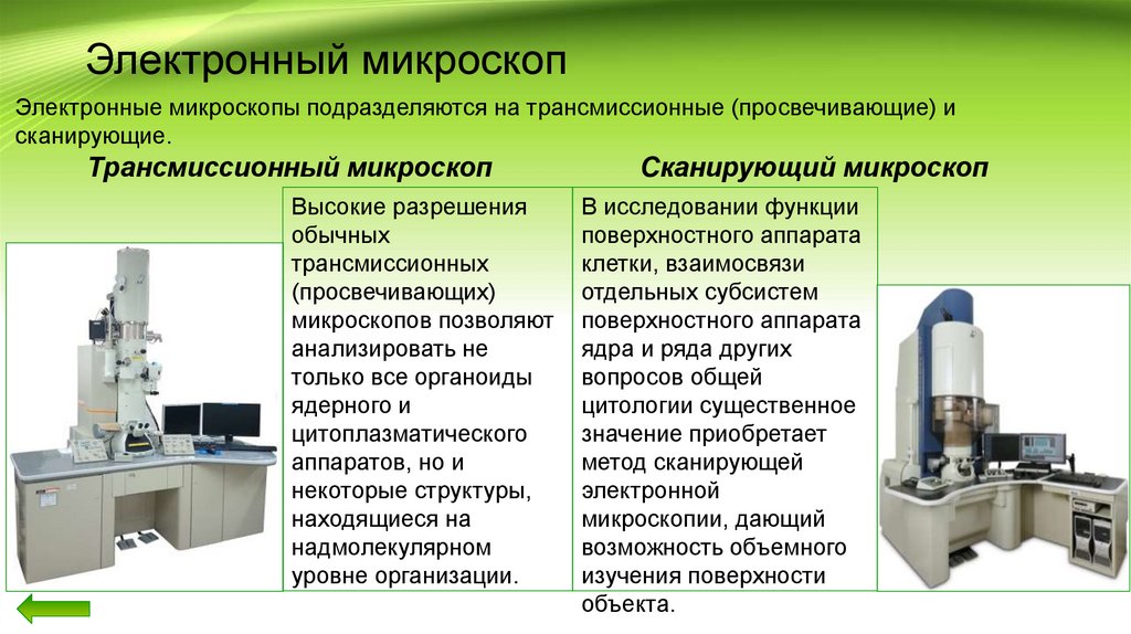 Электронная микроскопия презентация