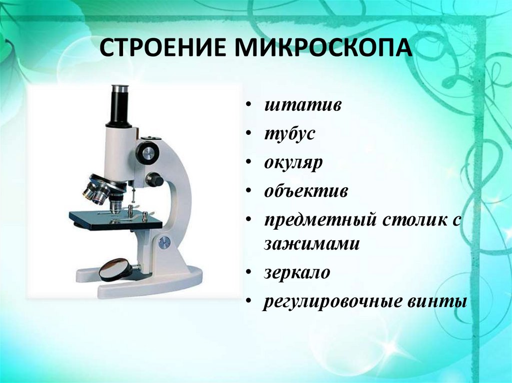 Микроскоп описание с картинкой