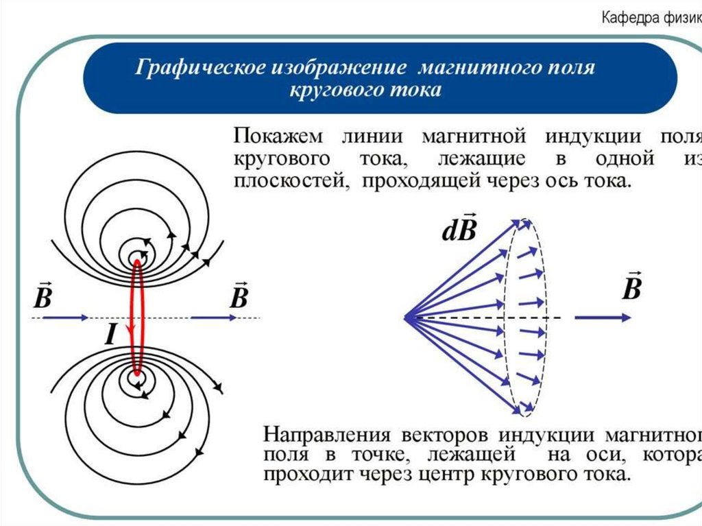 На рисунке изображен две магнитные линии что создает это магнитное поле